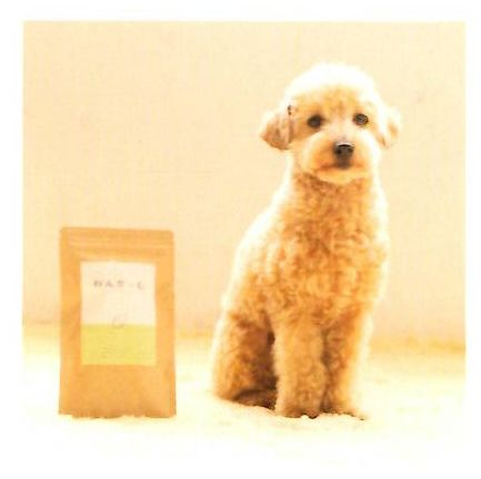 ワンちゃんとわんかーむ製品